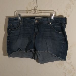 Torrid denim shorts